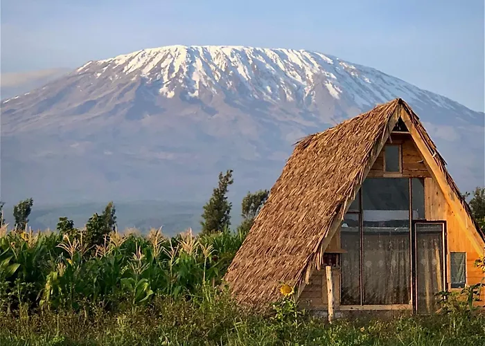 Amboseli Trails Cabin